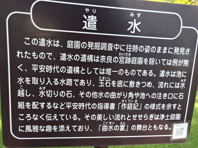 イメージ 10