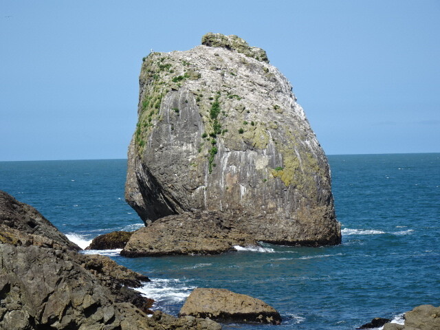 DSC04171