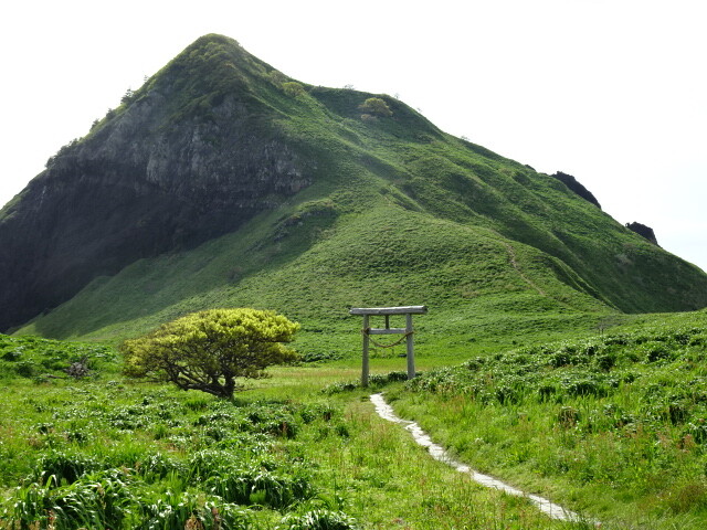 大野亀 (1)