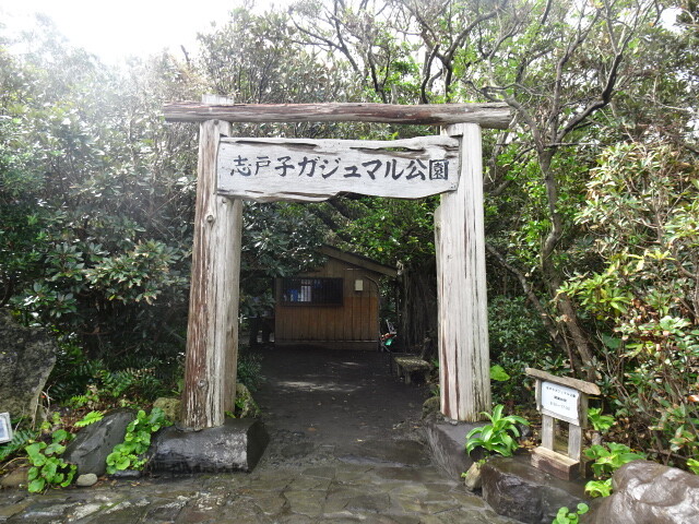 志戸子ガジュマル園入り口