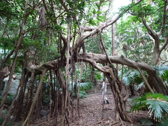 トンネル
