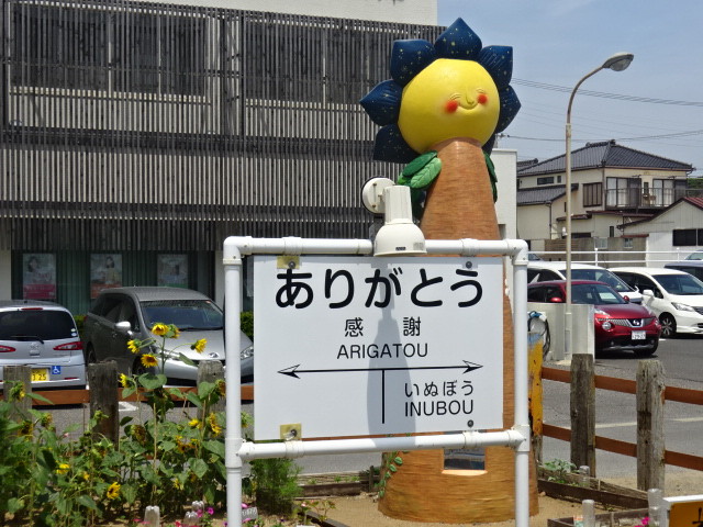 イメージ 6