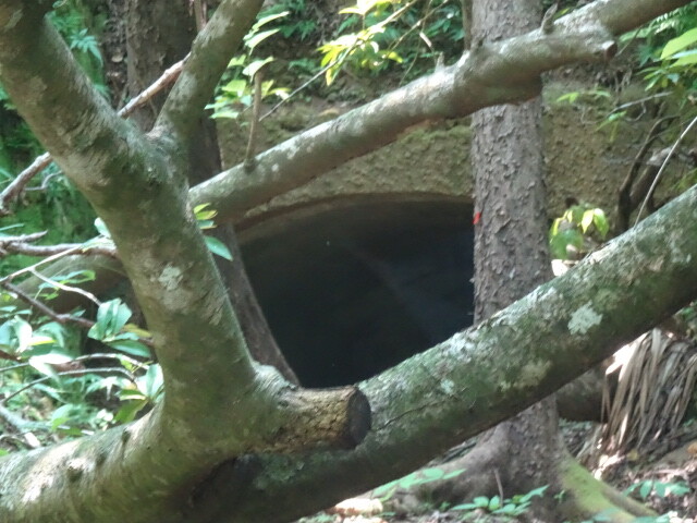 探照灯基地の跡