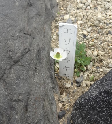 イメージ 20