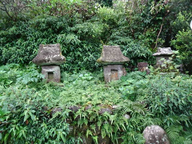 DSC06471