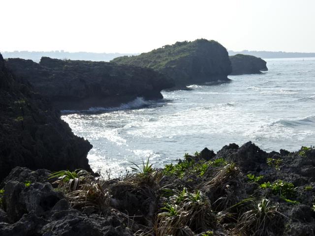 イメージ 19