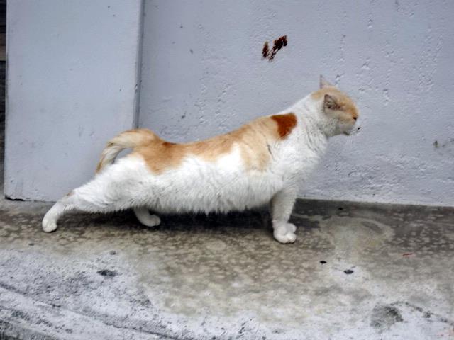 DSC01813