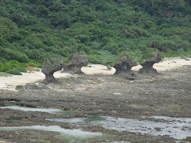 キノコ岩