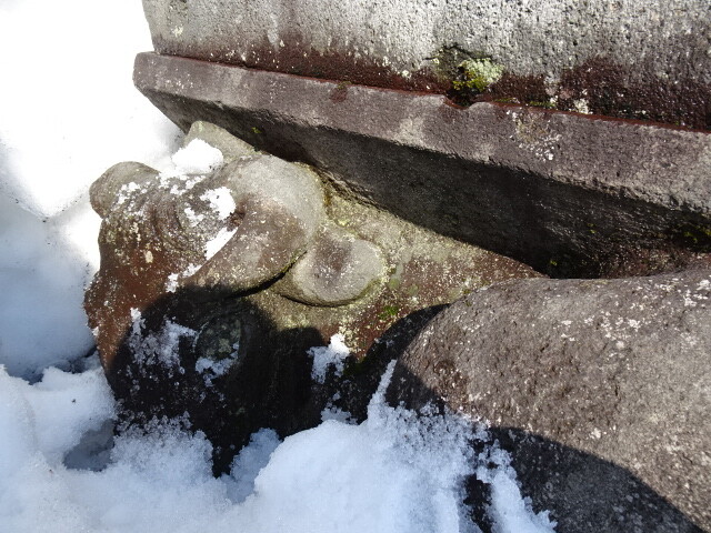 牛です