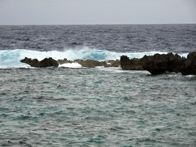 DSC01768