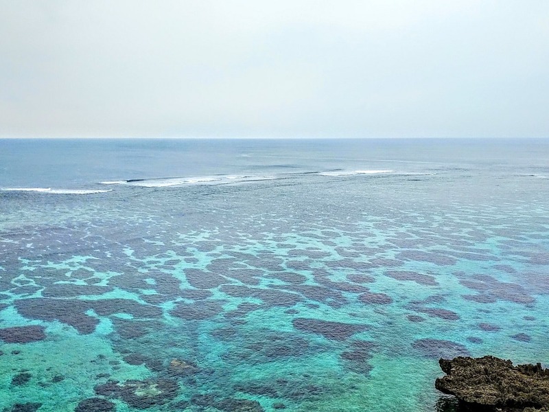 サンゴの海