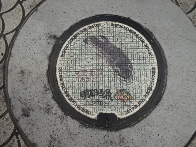 明石市。マアナゴ