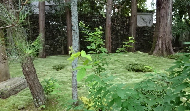 イメージ 12