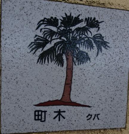 DSC01380