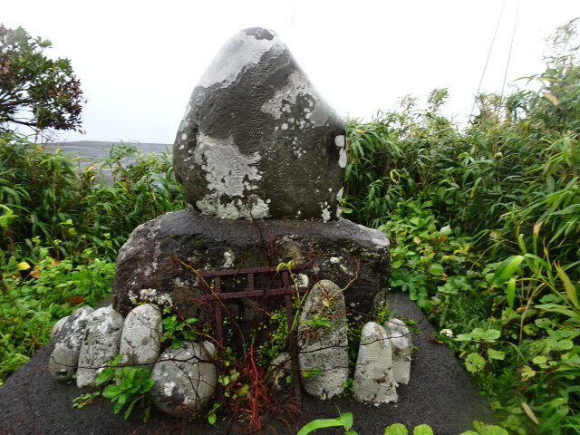 DSC06431