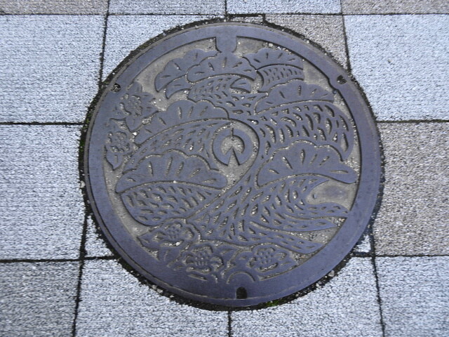 稲沢市、クロマツ、