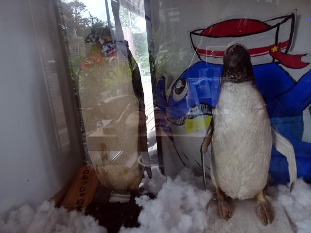 昔連れてきたらしい