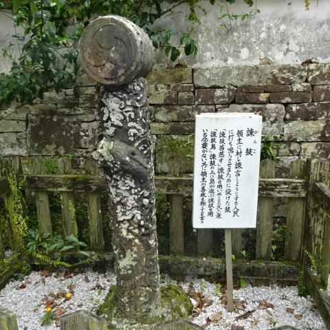 イメージ 12