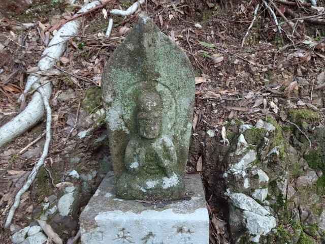 DSC00308