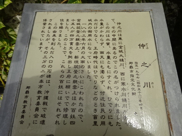 イメージ 15