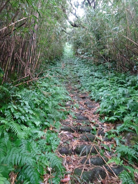 DSC06409