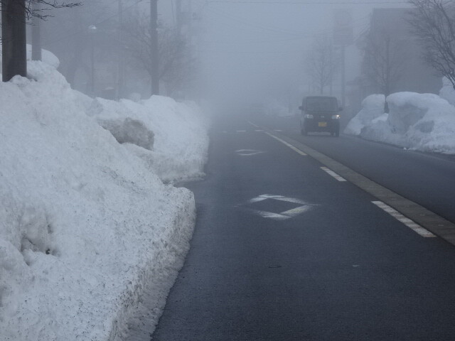 朝の通り