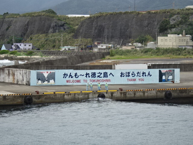 徳之島に