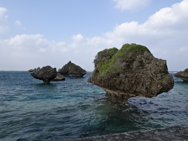 DSC01998