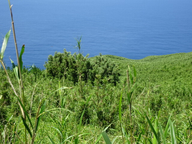 この辺りにある