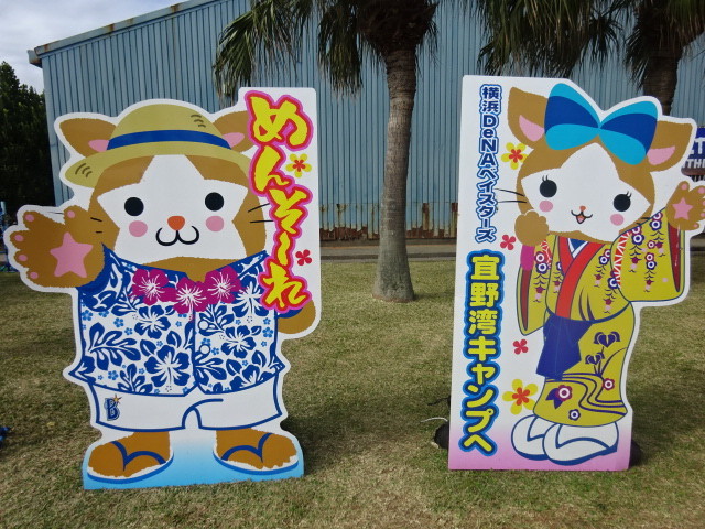 イメージ 6