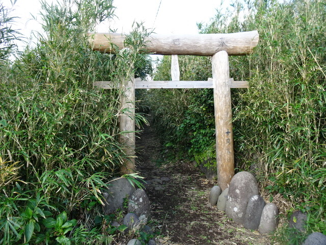 金毘羅神社鳥居