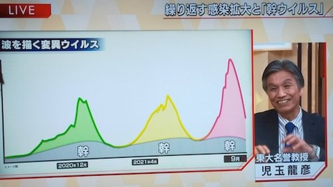 ウイルスの自滅 仮説01
