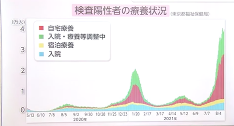 東京感染推移0808ss