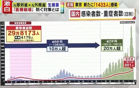 国内　重症化数