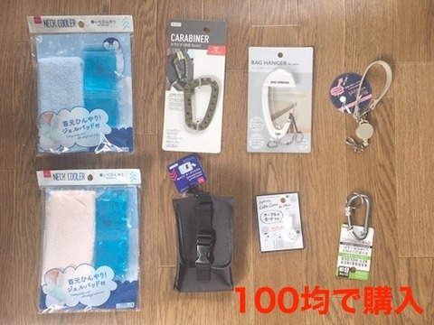 100均一で購 今年の「夏」を乗り切るグッズ500 ss