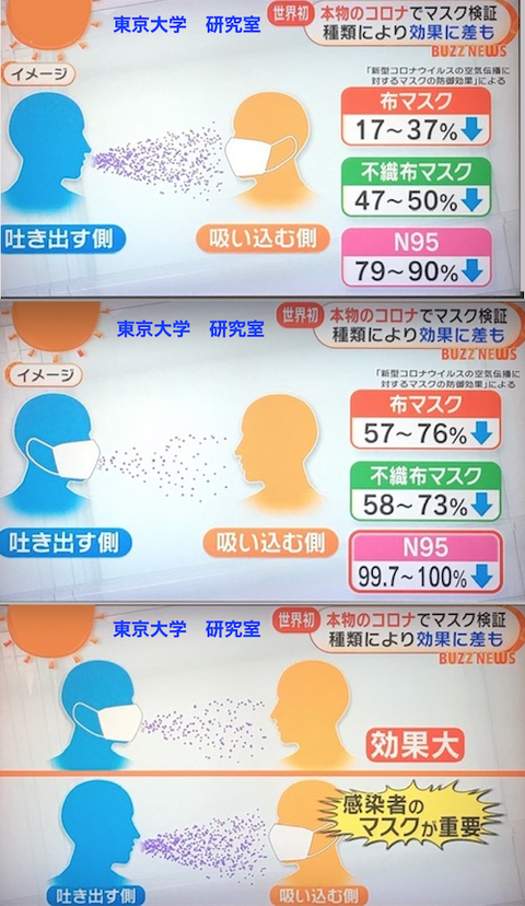 マスク効果 東大研究室