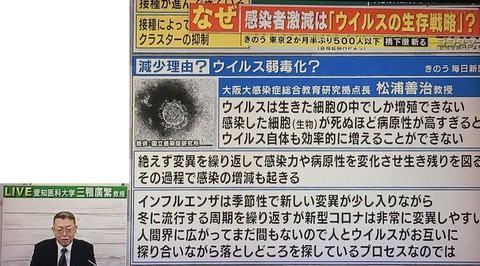 第5波 なぜ?減少aa