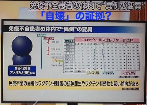 16 ウイルスの自滅 仮説03