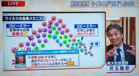 ウイルスの自滅 仮説00