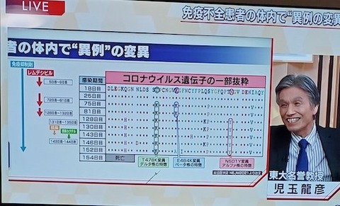ウイルスの自滅 仮説04
