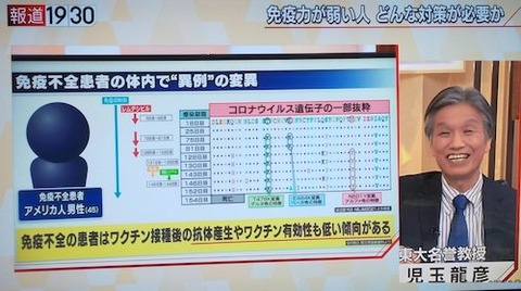 ウイルスの自滅 仮説03