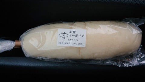 DSC_0000_BURST20190323175743170