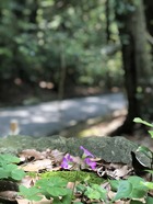IMG_E4936