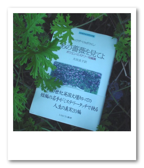 カフェと本なしでは一日もいられない。