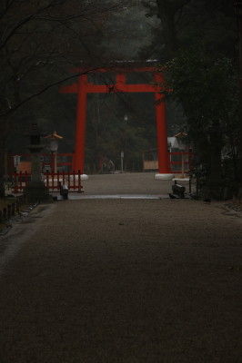 555A0401