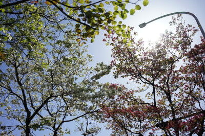 DSC07007