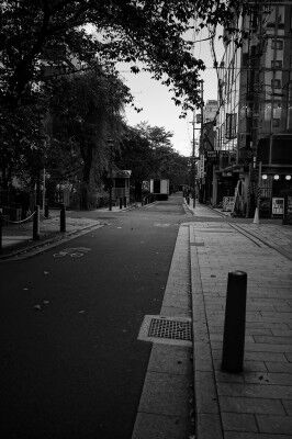DSC00246