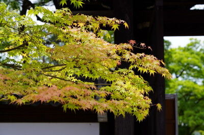 DSC02141