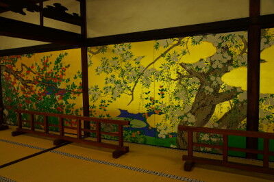 DSC04251