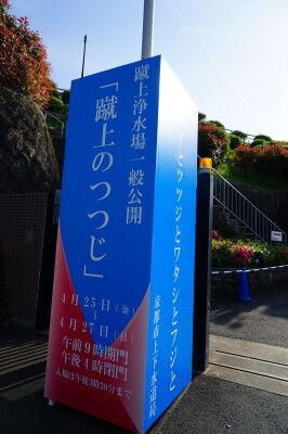 DSC08453